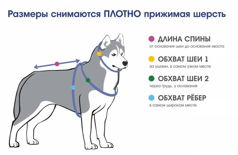 Размеры клеток для собак по номерам таблица