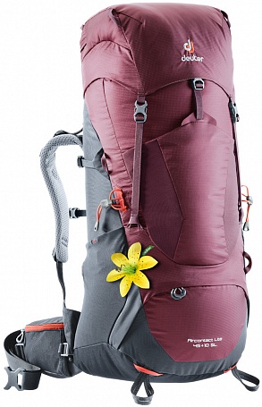 Рюкзак Deuter Aircontact Lite 45+10 SL